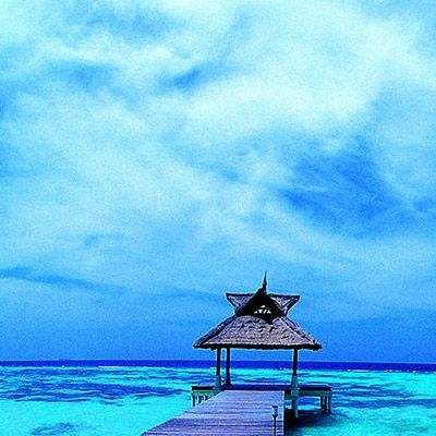 大发黄金版app下载下载手机版截图